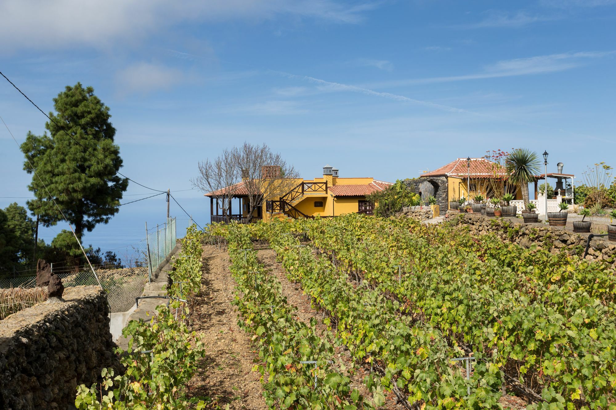 Finca Casa Yaya อิคอดเดลอสวินอส ภายนอก รูปภาพ